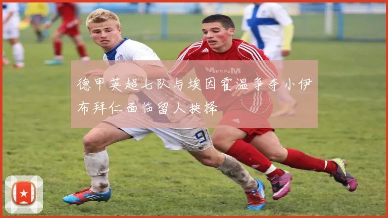 德甲英超七队与埃因霍温争夺小伊布拜仁面临留人抉择