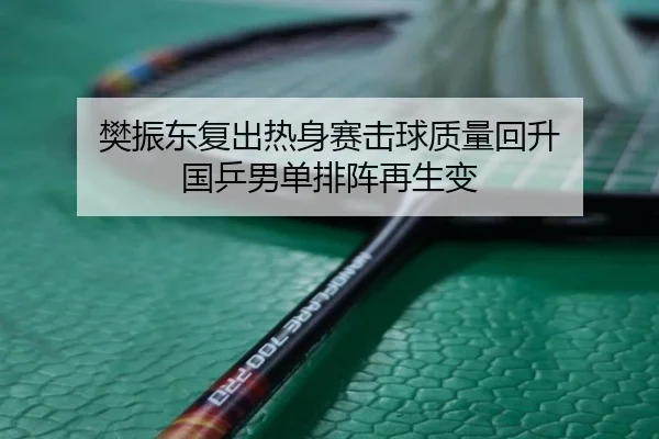 樊振东复出热身赛击球质量回升 国乒男单排阵再生变